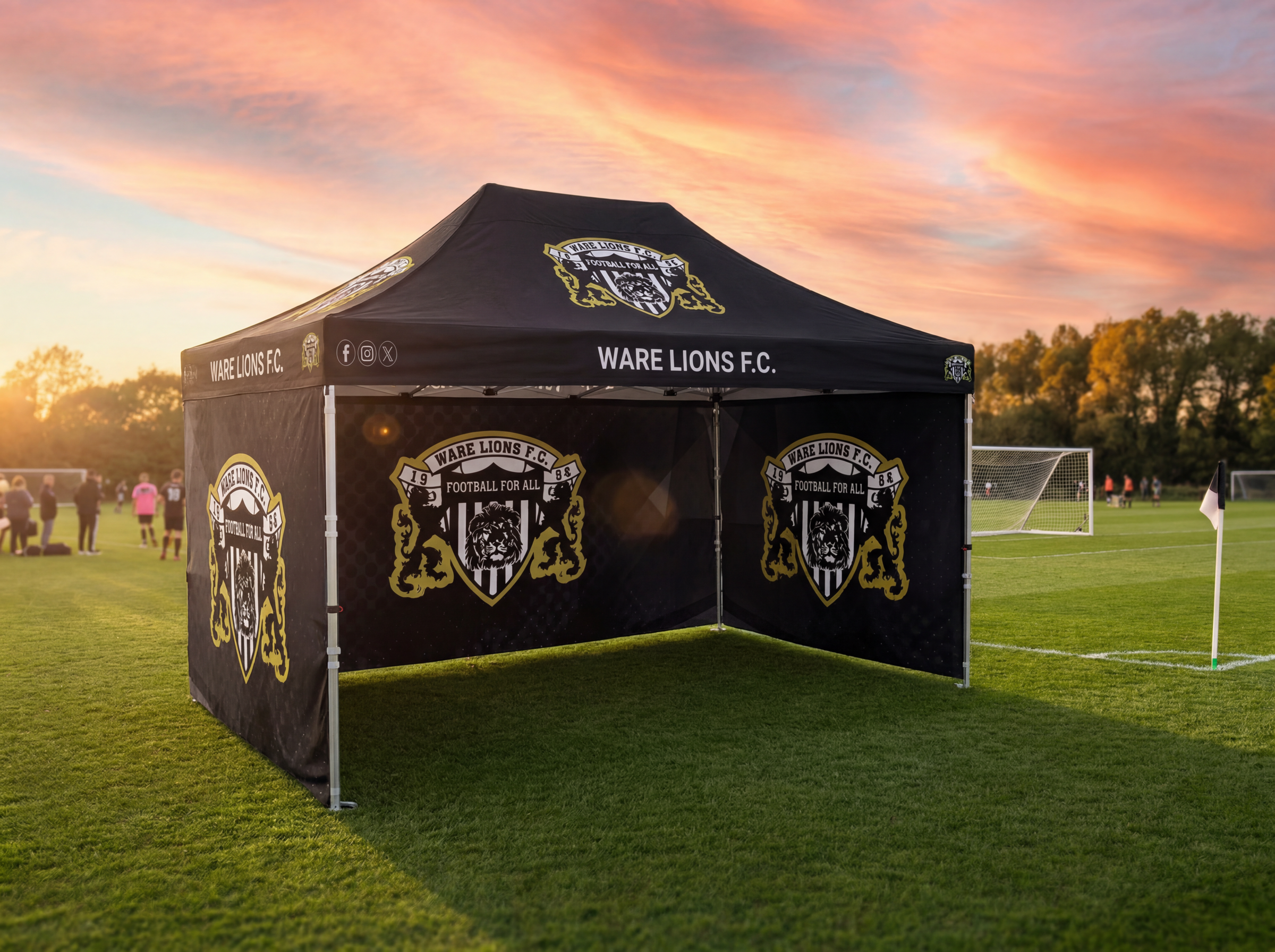 Ware Lions FC — sports club branding example